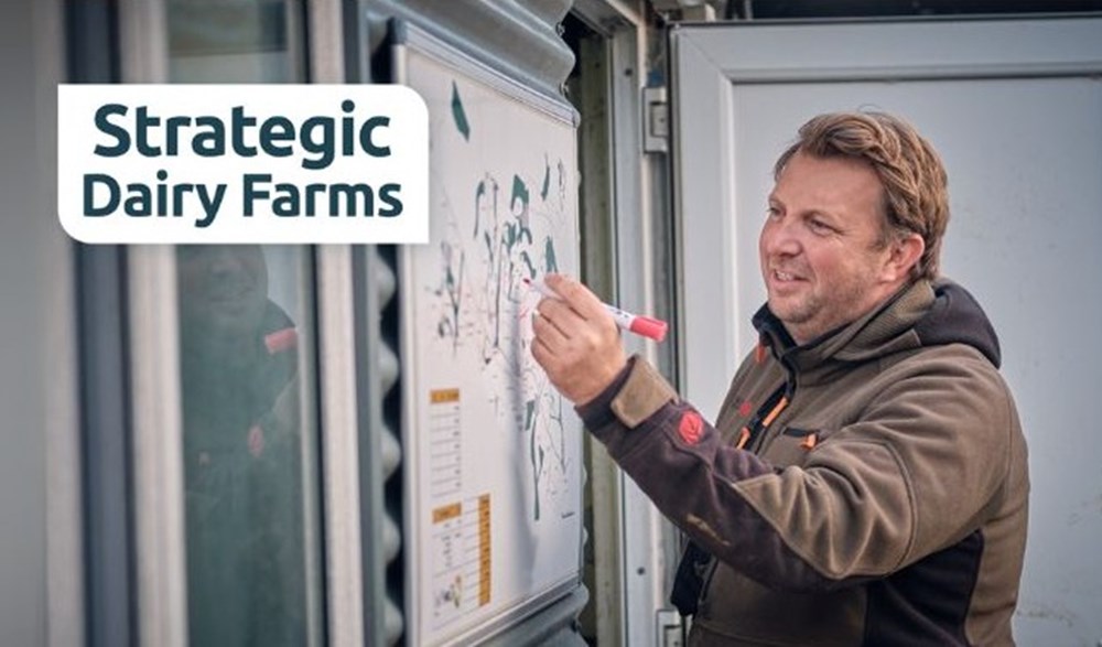 A man writing on a whiteboard next to the Strategic Dairy Farm logo